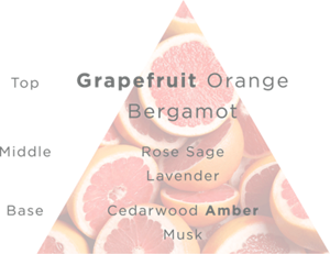 TOP:Grapefruit Orange Bergamot Middle:Rose Sage Lavender Base:Cedarwood Amber Musk