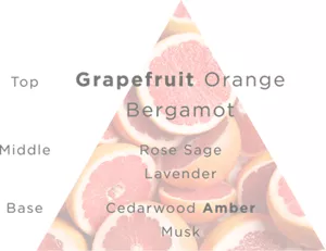 TOP:Grapefruit Orange Bergamot Middle:Rose Sage Lavender Base:Cedarwood Amber Musk