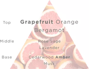 TOP:Grapefruit Orange Bergamot Middle:Rose Sage Lavender Base:Cedarwood Amber Musk