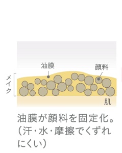油膜が顔料を固定化。（汗・水・摩擦でくずれにくい）