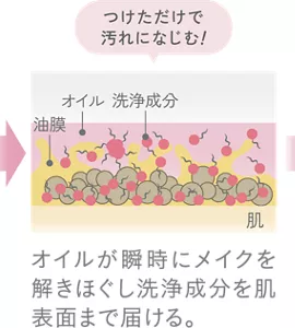 オイルが瞬時にメイクを解きほぐし洗浄成分を肌表面まで届ける。
