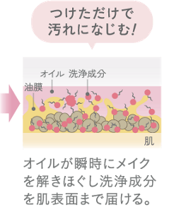オイルが瞬時にメイクを解きほぐし洗浄成分を肌表面まで届ける。