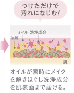 オイルが瞬時にメイクを解きほぐし洗浄成分を肌表面まで届ける。