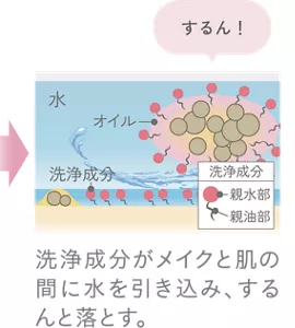 洗浄成分がメイクと肌の間に水を引き込み、するんと落とす。
