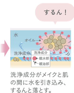 洗浄成分がメイクと肌の間に水を引き込み、するんと落とす。