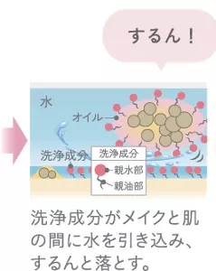 洗浄成分がメイクと肌の間に水を引き込み、するんと落とす。