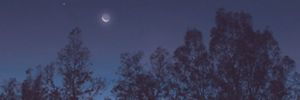 NIGHT LIPID WEAR | SKINCARE | KANEBO