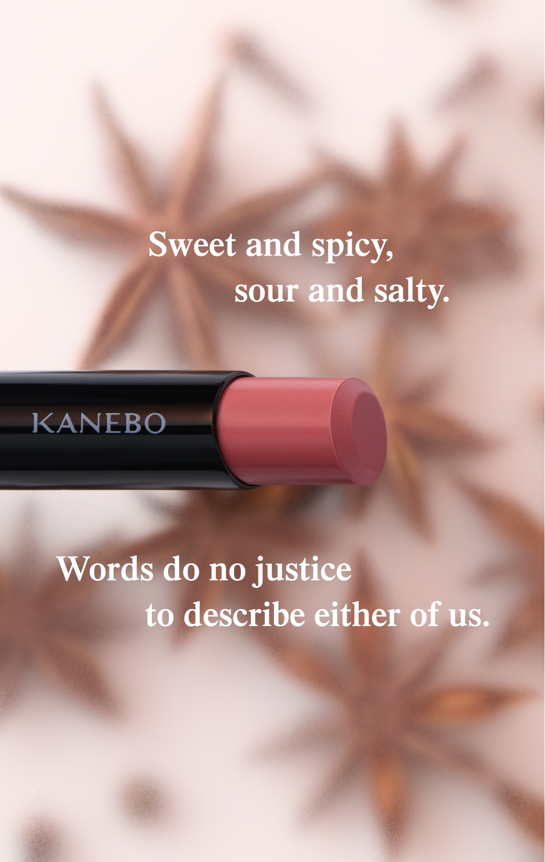 Kanebo Rouge Star Breathe