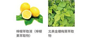 Lemon Extra Liquid Hamamelis Virginiana (Witch Hazel) Leaf Extract