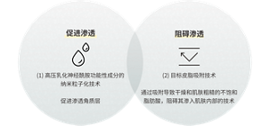 促进渗透: （1）高压乳化神经酰胺功能性成分的 纳米粒子化技术促进渗透角质层　阻碍渗透: （2）目标皮脂吸附技术通过吸附导致干燥和肌肤粗糙的不饱和脂 肪酸，阻碍其渗入肌肤内部的技术