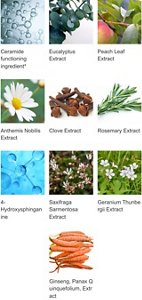Ceramide functioning ingredient* Eucalyptus Extract Peach Leaf Extract Anthemis Nobilis Extract Clove Extract Rosemary Extract 4-Hydroxysphinganine Saxifraga Sarmentosa Extract Geranium Thunbergii Extract Ginseng, Panax Quinquefolium, Extract