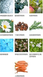 神經醯胺功能成分 藍桉葉萃取物 桃葉萃取物 白花春黃菊萃取物 丁香花萃取物 迷迭香葉萃取物 植物鞘氨醇 草莓虎耳草萃取物 童氏老鸛草花/葉/莖萃取物 人蔘根萃取物