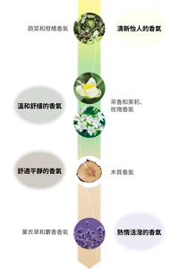 清新怡人的香氣：蔬菜和柑橘香氣　溫和舒緩的香氣：茶香和茉莉、玫瑰香氣　舒適平靜的香氣：木質香氣　熱情活潑的香氣：薰衣草和麝香香氣