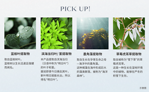 蓝桉叶提取物 取自蓝桉树叶。蓝桉树以生长迅速且强健而闻名。滨海当归叶/ 茎提取物 本产品提取自滨海当归（日语中称为“明日叶”）的叶子和茎。据说即使今日摘去其叶，新叶明日就能长出，所以得名“明日叶”。墨角藻提取物 取自生长在孕育生命之母—海洋中的墨角藻。这种褐藻在海中形成巨大的藻类群落，被称为“海洋森林”。草莓虎耳草提取物 取自被称为“雪下草”的草莓虎耳草。这是一种生长在湿地环境中的植物，能够在严冬的积雪下生存。示意图