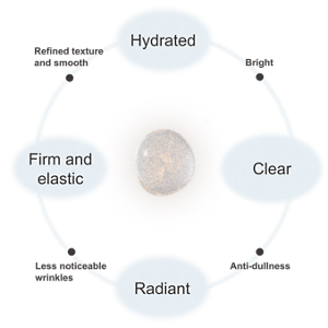Hydrated Bright Clear Anti-dullness Radiant Less noticeable fine lines Firm and elastic Refined texture and smooth
