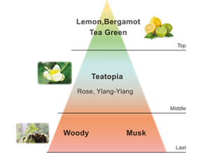 Top:Lemon,Bergamot Tea Green | Middle:Teatopia Rose, Ylang-Ylang | Last:Woody Musk