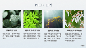 藍桉葉萃取物 從生長迅猛、生命力頑強的「藍桉」樹葉中萃取的成分 明日葉莖/葉萃取物 從傳言因今日採摘，明日即生新葉而得名的「明日葉」莖葉中萃取的成分 墨角藻萃取物 從在孕育生命的海洋中生長，蔓延後形成「海中森林（藻場）」的「墨角藻」中萃取的成分 草莓虎耳草萃取物 從生長於濕地或岩石，因「被冬雪覆壓仍不枯萎」而得名的「草莓虎耳草」中萃取的成分 示意圖