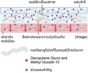 23ss_skincare_図版