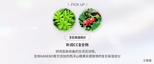 PICKUP 复合保湿成分 补润C C 复合物 研究肌肤具备的交流互动性。含有KANEBO首次添加的西洋山楂果实提取物 的复合保湿成分