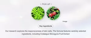 PICKUP Key ingredients Our research explores the responsiveness of skin cells. The formula features carefully selected ingredients, including Crataegus Monogyna Fruit Extract