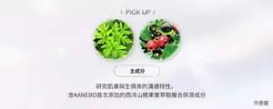 PICKUP 主成分 研究肌膚與生俱來的溝通特性。含KANEBO首次添加的西洋山楂果實萃取複合保濕成分