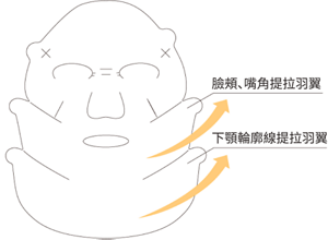 img_tc-sheet-musk-01