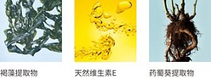 Seaweed Extract Vitamin E Althaea Root Extract