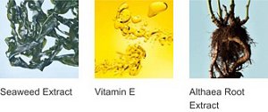 Seaweed Extract Vitamin E Althaea Root Extract