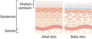 img_sm_cid2_point1_01