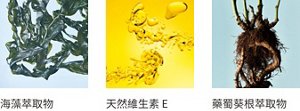 Seaweed Extract Vitamin E Althaea Root Extract