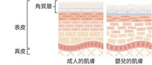 img_sm_cid2-cin2_skin_tw