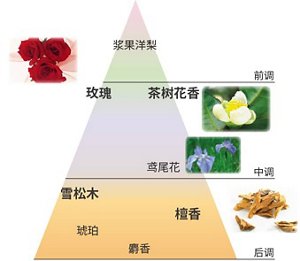 img_cin_fragrance_cn