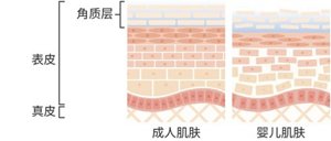 img_sm_cid2-cin2_skin_cn