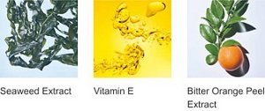 Seaweed Extract Vitamin E Althaea Root Extract