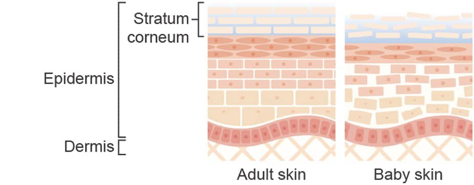 img_lg_cin2_point1_01