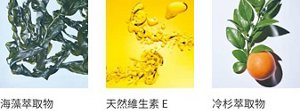 Seaweed Extract Vitamin E Althaea Root Extract
