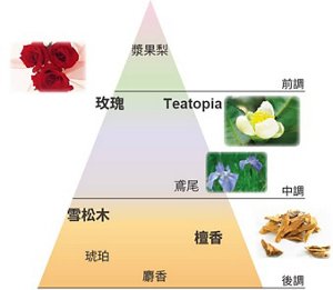 img_cin_fragrance_tw