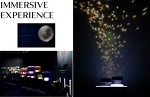IMMERSIVE EXPERIENCE
