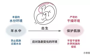 Rich wet environments In the amniotic fluid To prevent skin maceration Birth Dealing with drastic environmental changes Harsh dry environments In the air To defend the skin against environmental stimuli, including dryness