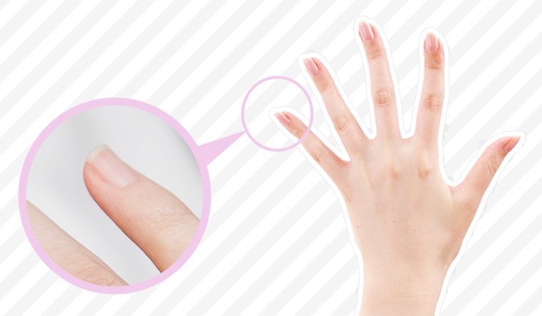 女の爪学 爪の常識ウソ ホント教えます 美ビッドスマイル カネボウ化粧品