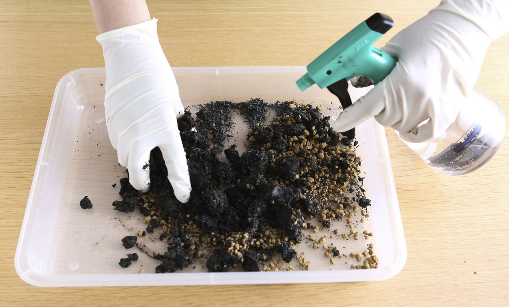 簡単オシャレなグリーンインテリア１ 苔玉の作り方 美ビッドスマイル カネボウ化粧品
