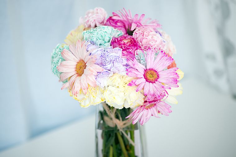 新鮮な花 染色 インク 最高の花の画像