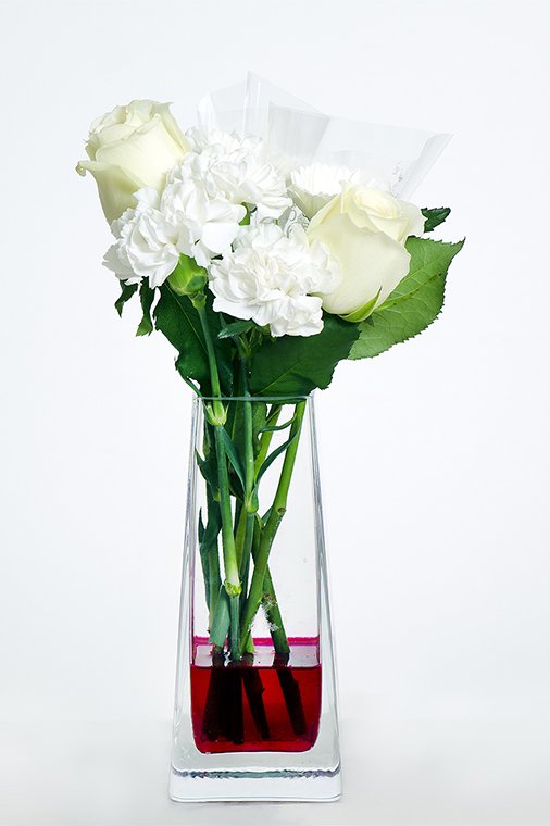 インクの色水を白い花に吸わせて作るカラーリングフラワー 美ビッドスマイル カネボウ化粧品