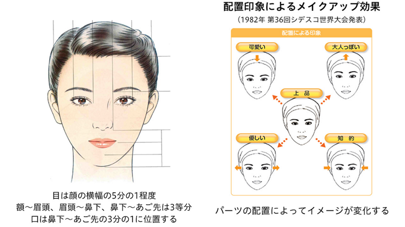 顔の特徴を解析 個性を生かしたメイクアップ提案へ Article わたしたちの大切にしていること Kao Beauty Brands