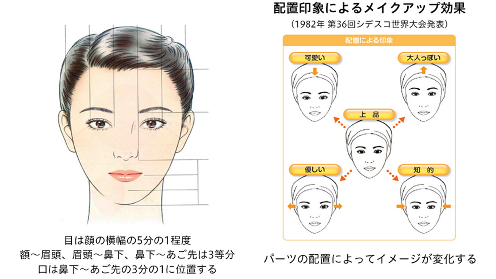 顔の特徴を解析 個性を生かしたメイクアップ提案へ Article わたしたちの大切にしていること Kao Beauty Brands 顔の特徴を解析 個性を生かしたメイクアップ提案へ Article わたしたちの大切にしていること Kao Beauty Brands