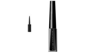 Brush-type  (Dipping pen)