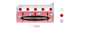 Gel film Moisture evaporates Lips Pearl agent Pigment Moisture (Illustration) Transforms into an adhesive gel film by utilizing moisture evaporated from lips