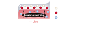 Gel film Moisture evaporates Lips Pearl agent Pigment Moisture (Illustration) Transforms into an adhesive gel film by utilizing moisture evaporated from lips