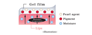 Gel film Moisture evaporates Pearl agent Pigment Moisture Lips <Illustration>