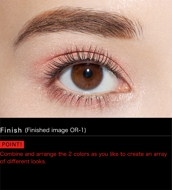 Finish (Finished image OR-1) POINT! Combine and arrange the 2 colors as you like to create an array of different looks. 